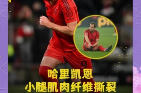 中欧体育官网-比赛规则变更引发热议！，凯恩在德国队比赛中比赛局势复杂全场沸腾不已的简单介绍